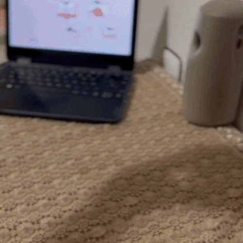 Silent Humidifier For Your Home